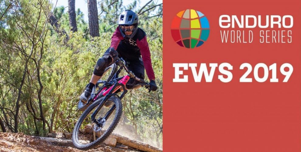 EWS 2019