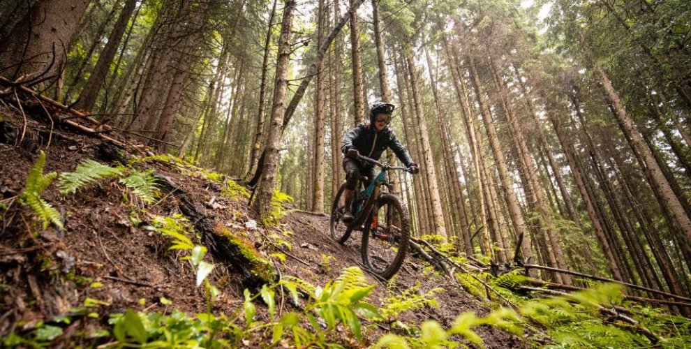 the pleney mountain bike trails in morzine are world class