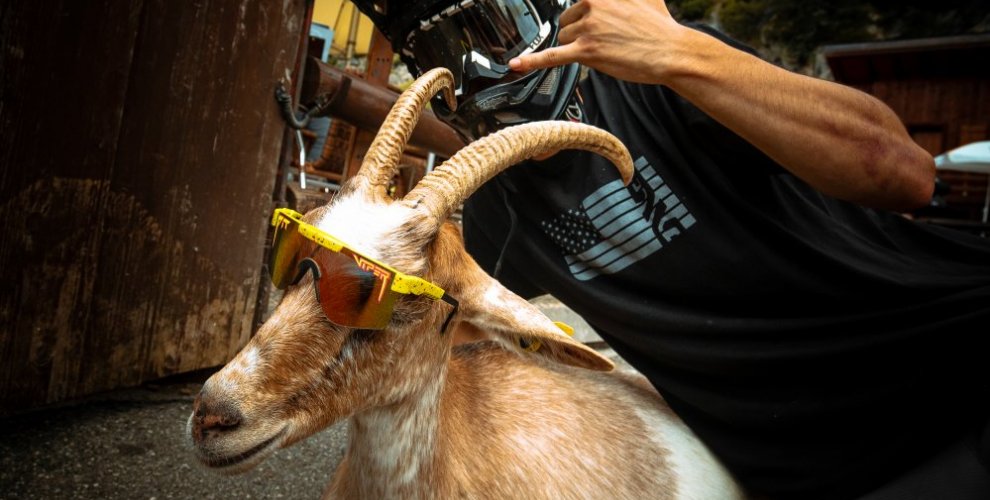 Goat village in Morzine