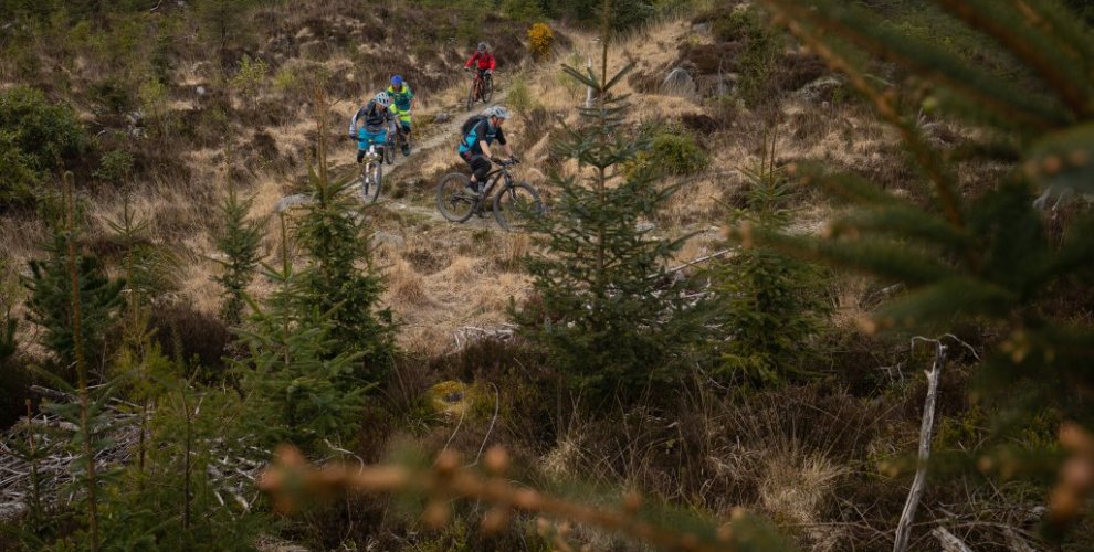 Mountain Biking in Coed y Brenin, Wales