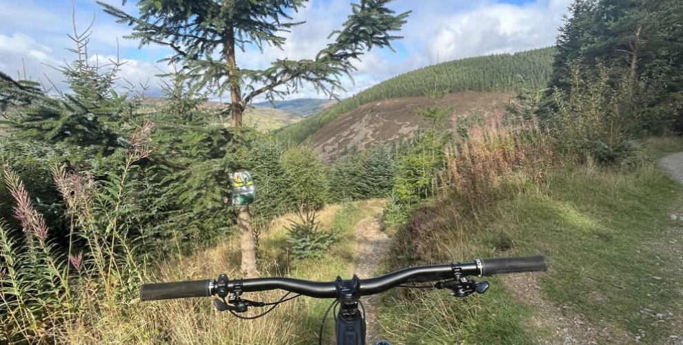 Specialized Levo SL looking down trail