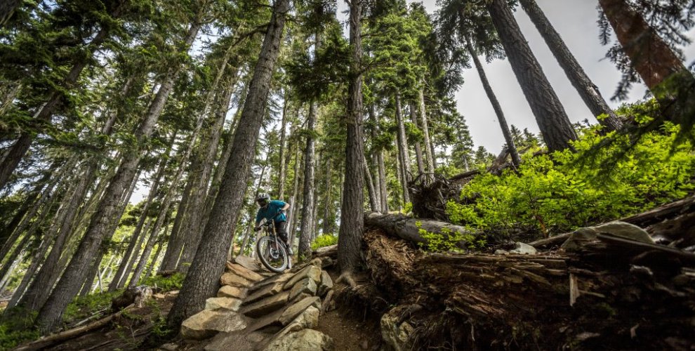 Whistler Bike Park steep trails