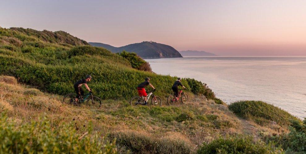 Riding mountain bikes in tuscany 