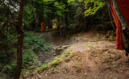 Fresh trail in Morzine