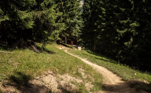 Morzine Red trail