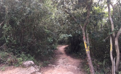 Dolmen EWS trail finale ligure town track