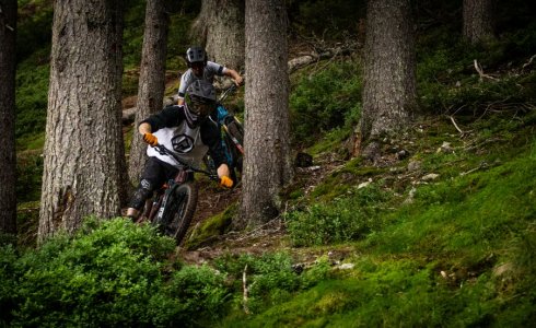 Deep Austrian forest singletrack