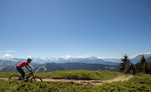 singletrack Mont Chery