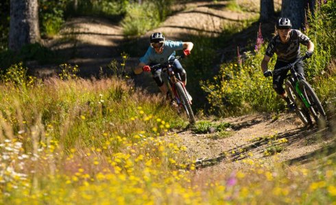 Racing enduro mtb in Morzine