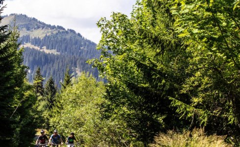 Pedal adventures from Morzine - MTB Beds