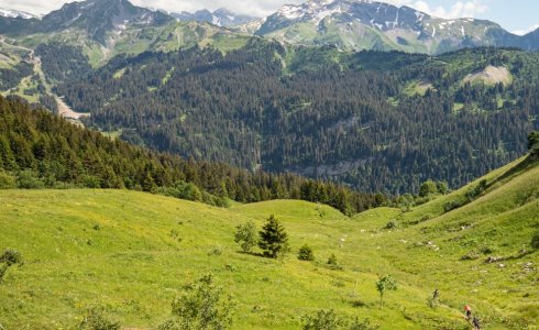 Epic singletrack in Morzine