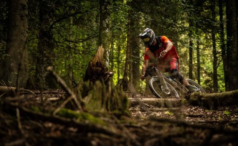 Forest trails in Samoens - Atlas Ride Co