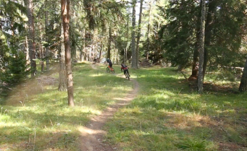 singletracks Aosta - MTB Beds