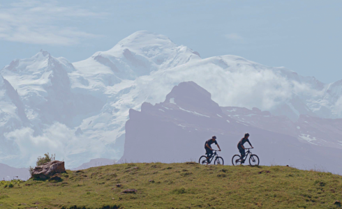 Best view of Mt Blanc in the summer - MTB Beds