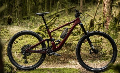 Specialized Enduro for Hire