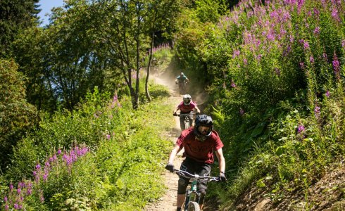 Day Trip to Morgins - MTB Beds