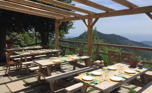 Osteria with a view in Finale Ligure - MTB Beds