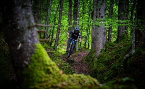 back country lines in Morzine - MTB Beds