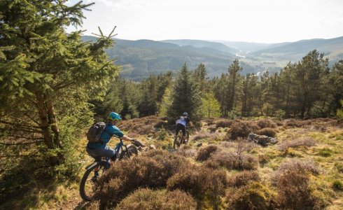 tweed valley mountain bike holiday