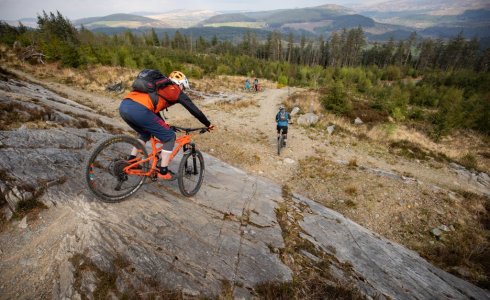 coed y brenin y slab trail