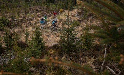 mountain bike riders at Coed Y Brenin, North Wales