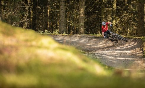 Glentress MTB Blue trail