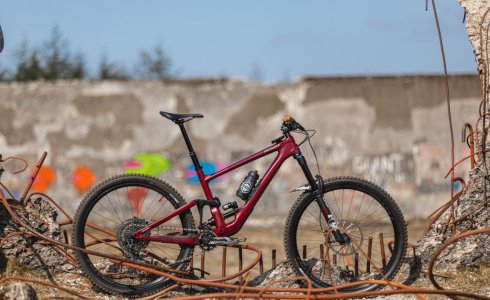 Tweed Valley MTB - Bike Hire