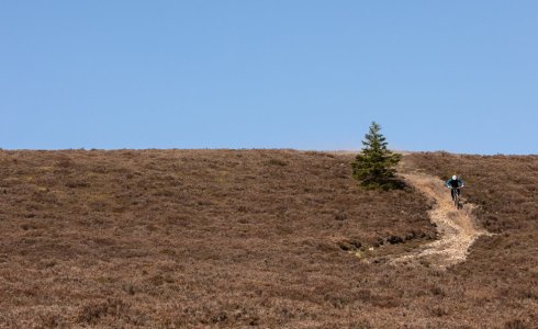 Tweed Valley MTB - The Golfie