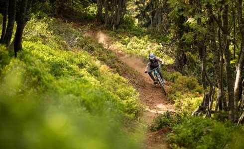 Mountain biking in France - Morzine bike park