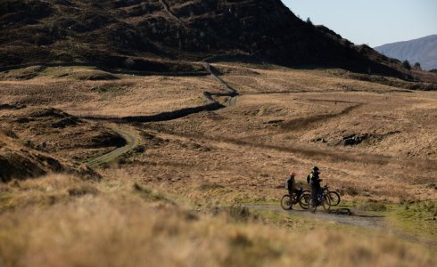 coed y brenin mtb