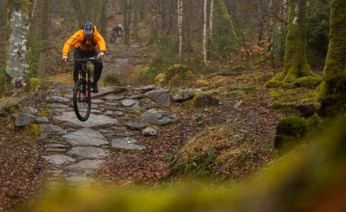 Coed Y Brenin mtb