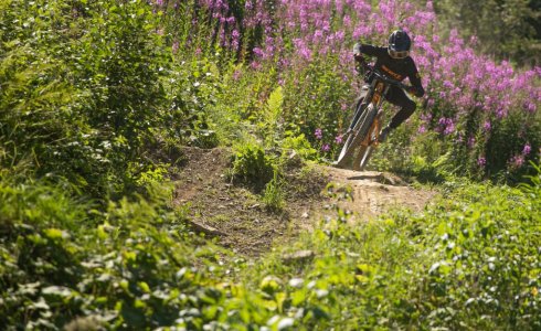 morgins bike park