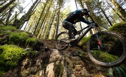 Dyfi forest mtb