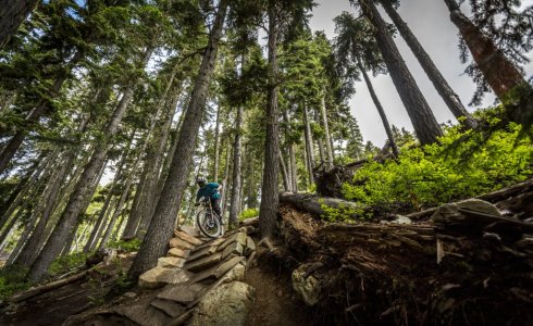 whistler mtb park