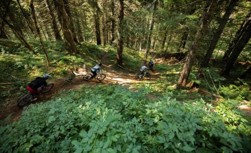 Morzine MTB trail - Atlas Ride Co Holidays