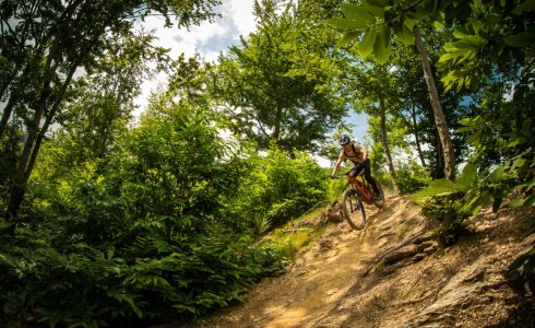 Types of Riding in Finale Ligure