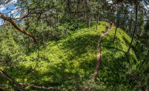 Slovenia Single track 