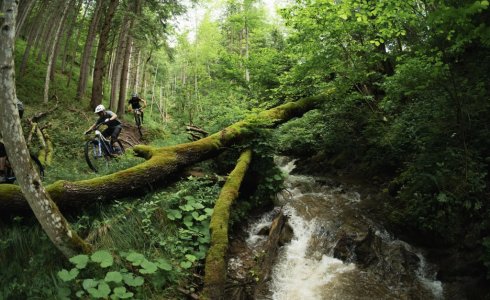 slovenia wild mtb