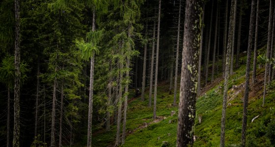 rieteralm schaldming enduro