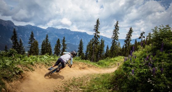 Turns in Schladming - MTB Beds