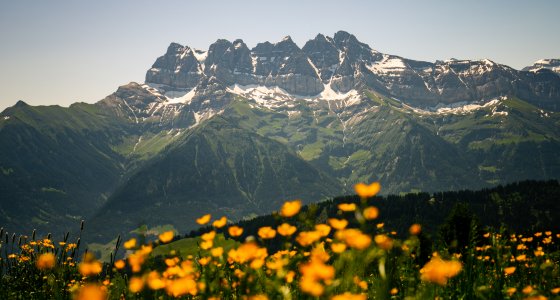 summer french alps