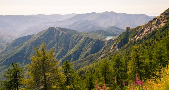 liguria