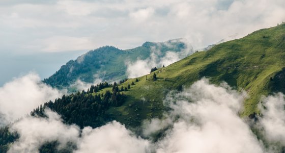 summer in the clouds