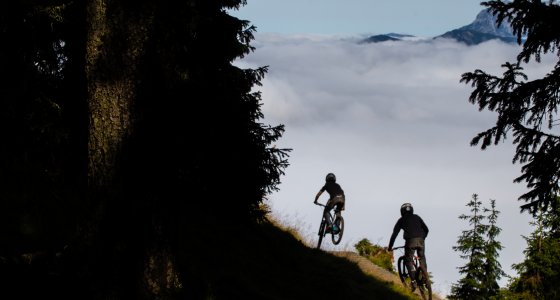 nose bonk leogang