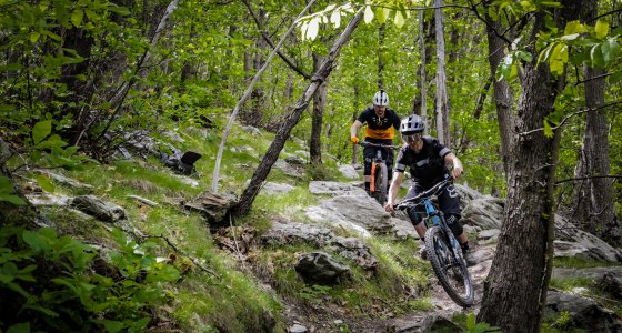 pietra ligure rock n rolla