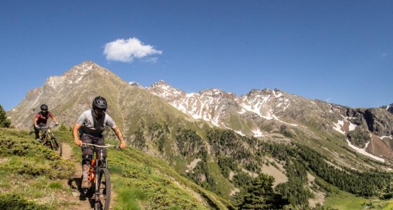 Guided trips in the Aosta Valley