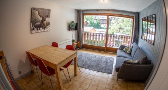 studio apartment in morzine for rent