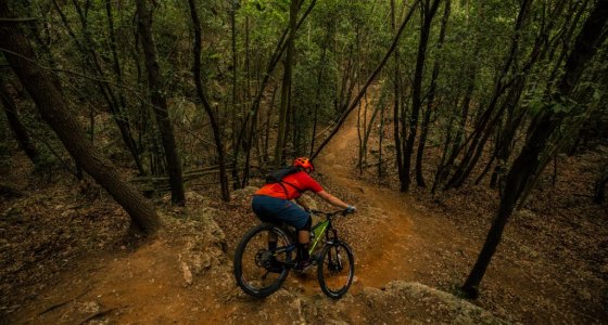 Singletrack in Finale