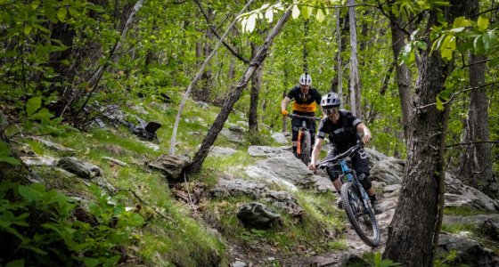 Backcountry Finale