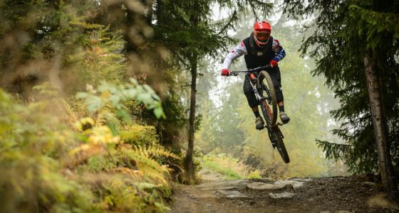 Bike guide Schladming - Markus Pekoll MTB Beds